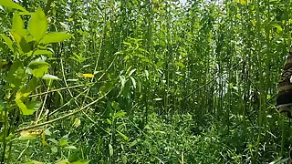 710 hairy pussy porn videos